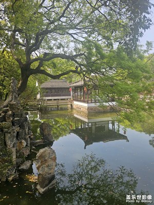 【聚焦四月】滿園春色