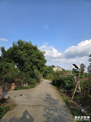 春意盎然