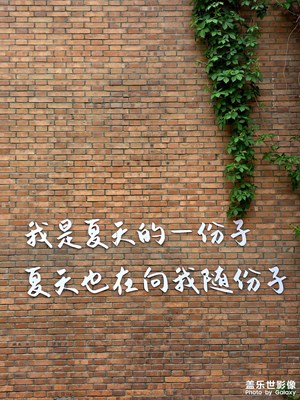 隨手拍