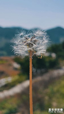 《最美西太行》