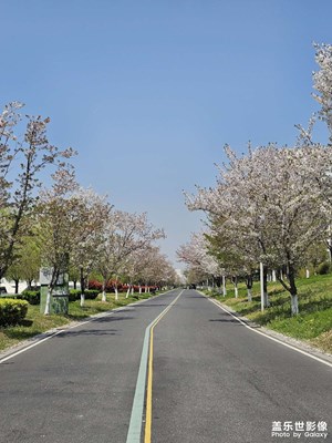 【聚焦四月】+野炊