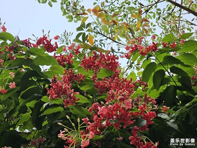 【聚焦四月】春天的氣息