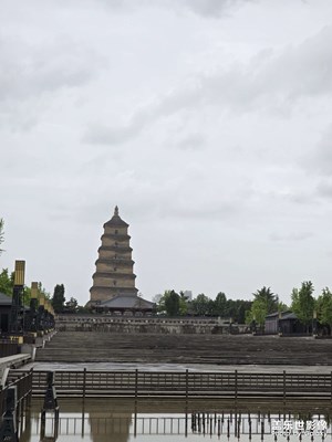 【聚焦四月】游大雁塔