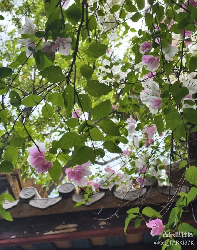 【行旅閱山河】附近走走