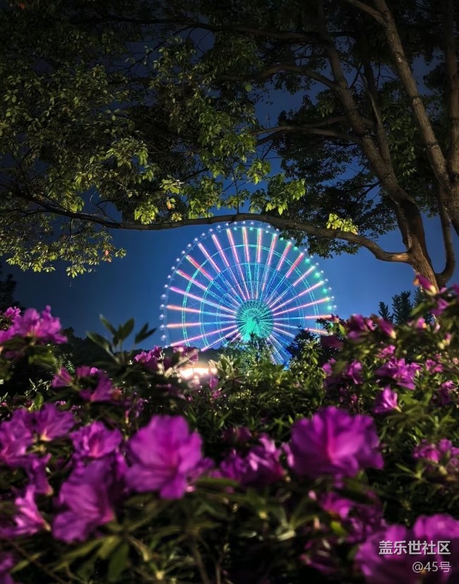 【行旅閱山河】公園看花