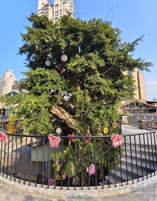 【行旅閱山河】小旅行