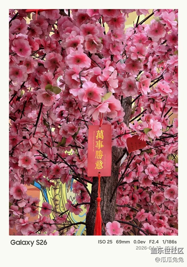 星部落活動(dòng)回顧貼