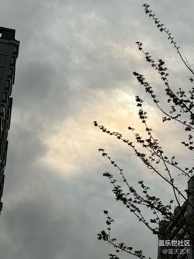 【行旅閱山河】落櫻