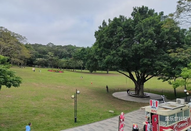 【行旅閱山河】花開正旺