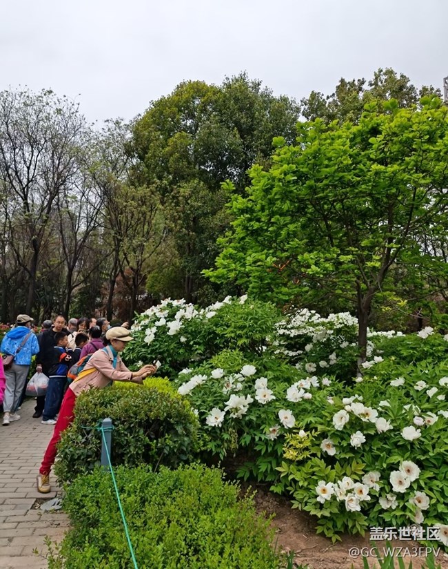 【行旅閱山河】看看花