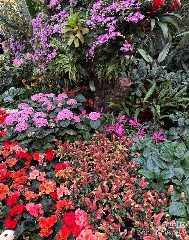 【行旅閱山河】植物園