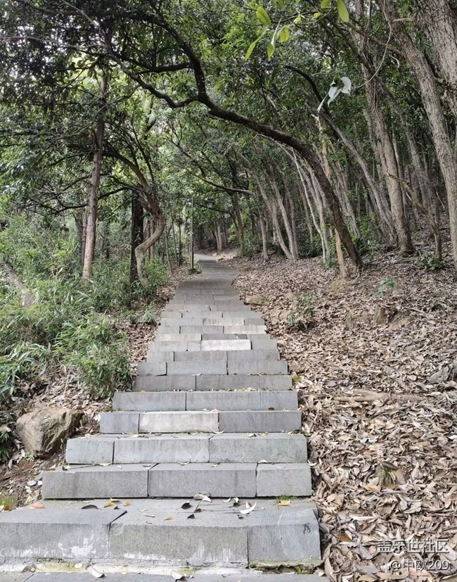【行旅閱山河】森林公園