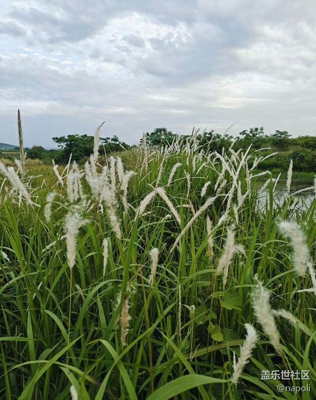 【行旅閱山河】自然氣息