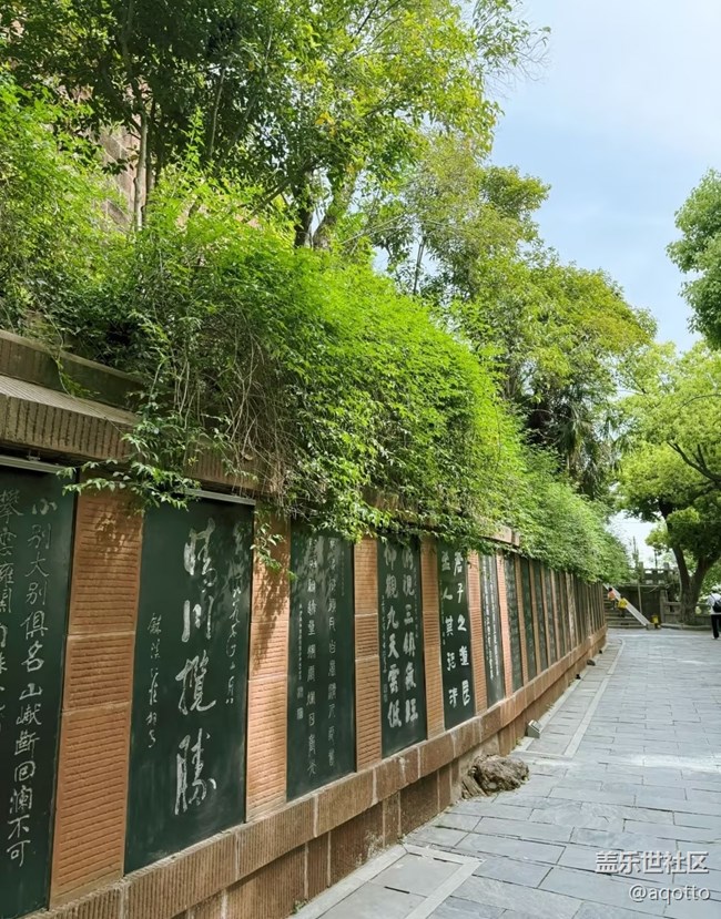 【行旅閱山河】江邊散步