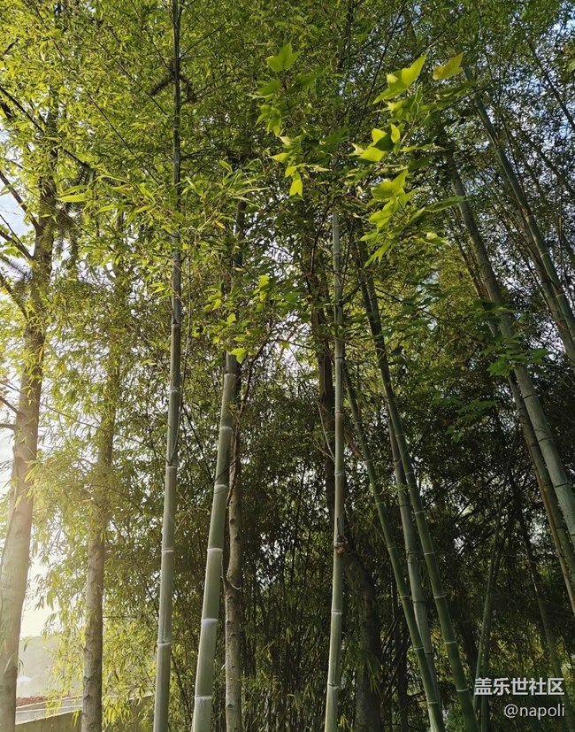 【行旅閱山河】自然氣息