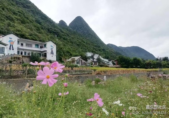 【行旅閱山河】湖光山色