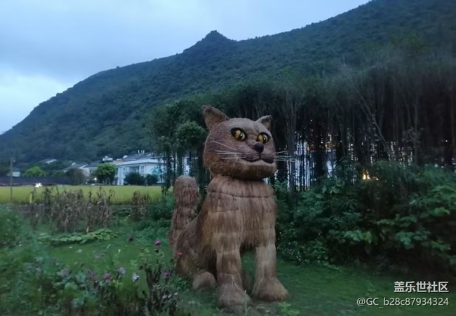【行旅閱山河】湖光山色