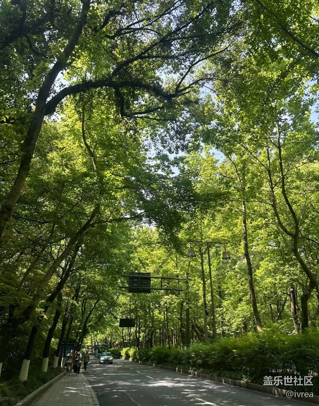 【行旅閱山河】綠色天地