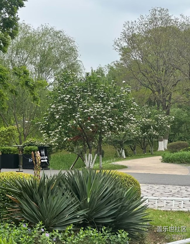【行旅閱山河】風(fēng)景這邊獨(dú)好