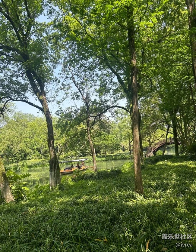 【行旅閱山河】綠色天地