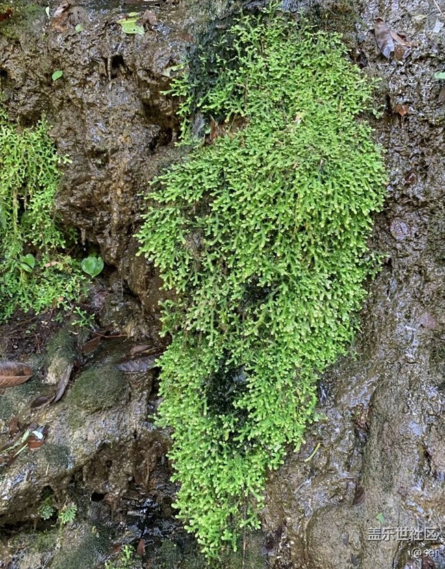 【行旅閱山河】大好河山