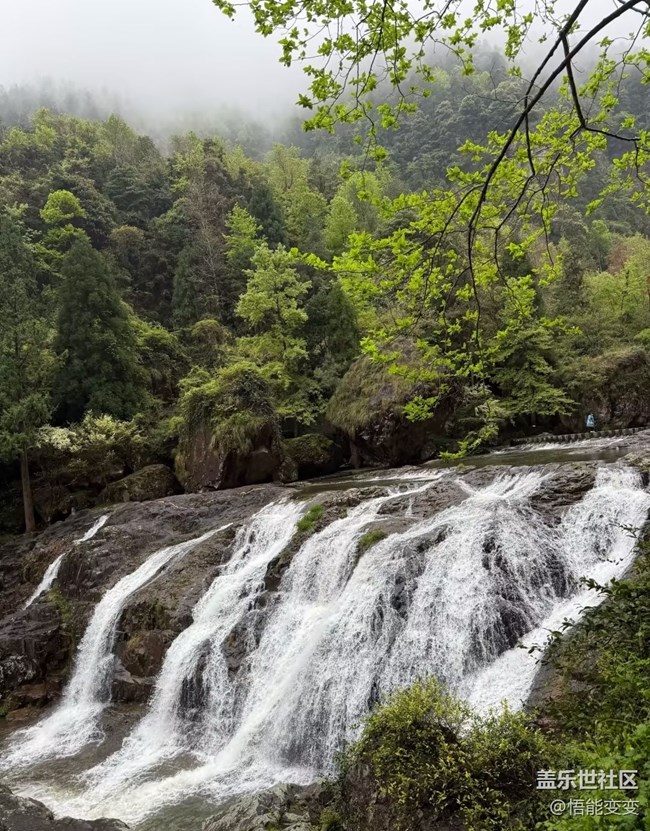 【行旅閱山河】山間美景