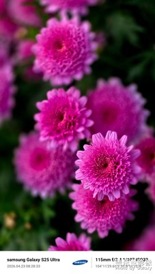 小花花