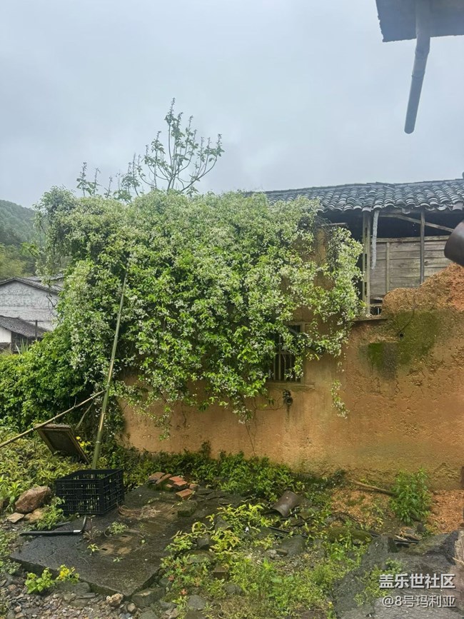 【行旅閱山河】鄉(xiāng)下