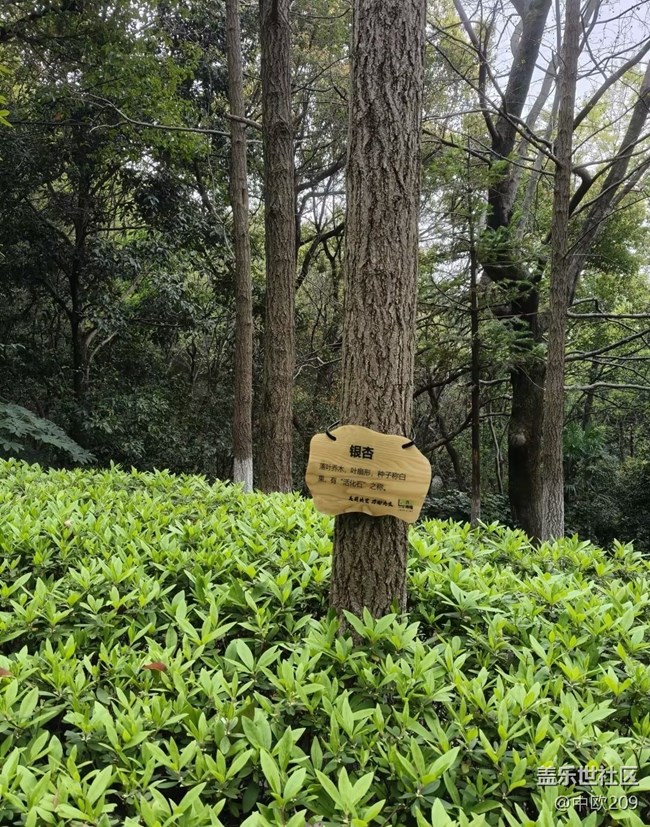 【行旅閱山河】森林公園