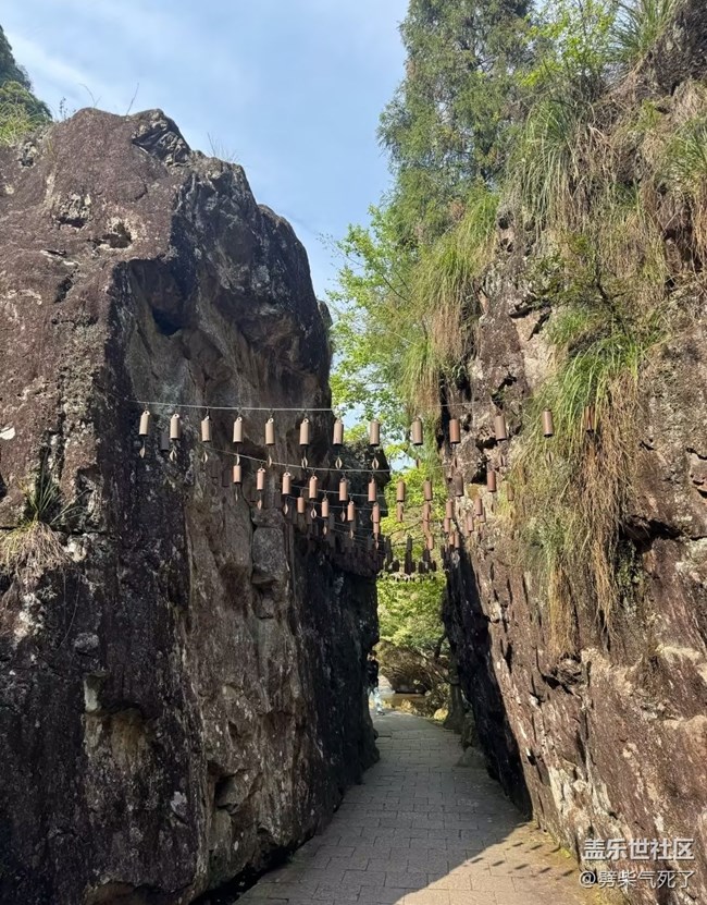 【行旅閱山河】山清水秀