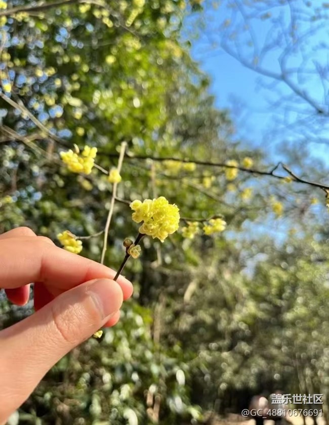 【行旅閱山河】徒步