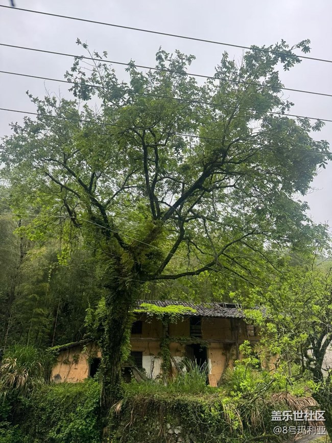 【行旅閱山河】鄉(xiāng)下