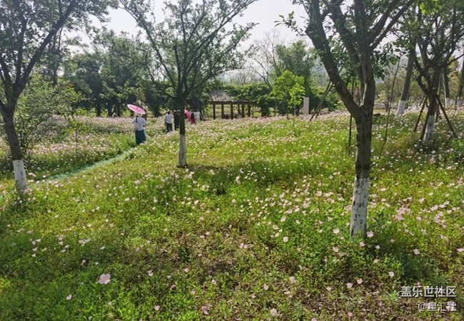 【行旅閱山河】雨過(guò)天晴