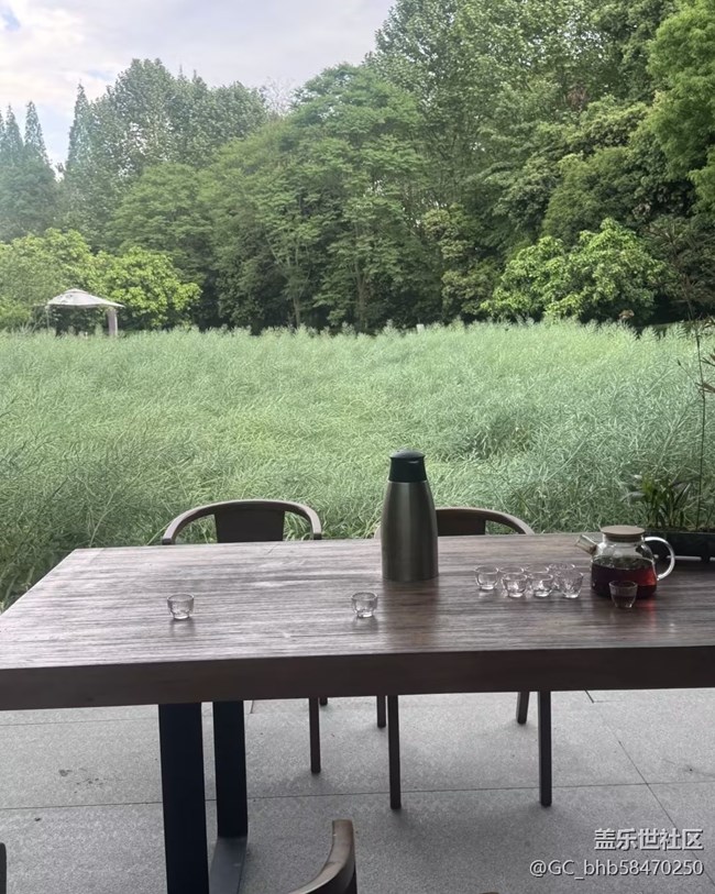 【行旅閱山河】油菜園