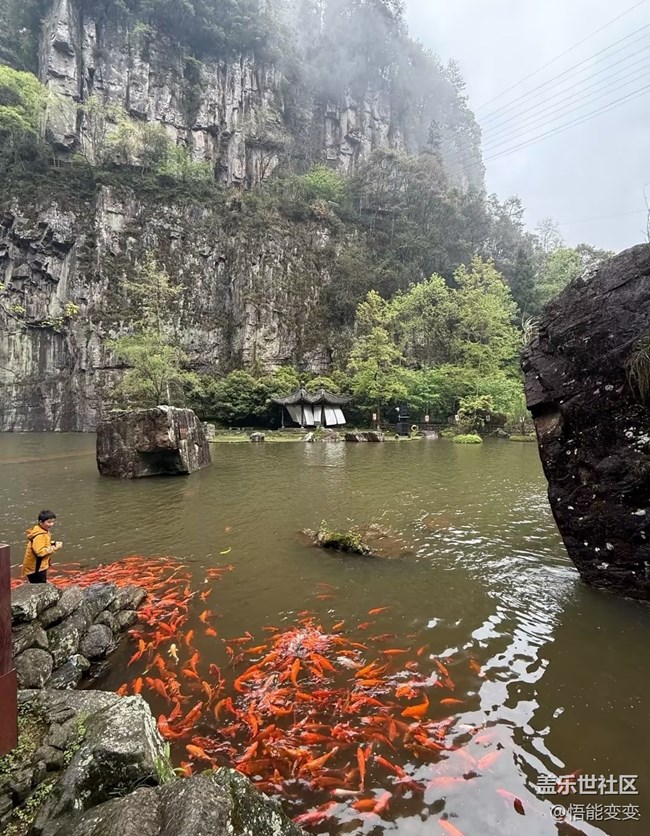 【行旅閱山河】山間美景