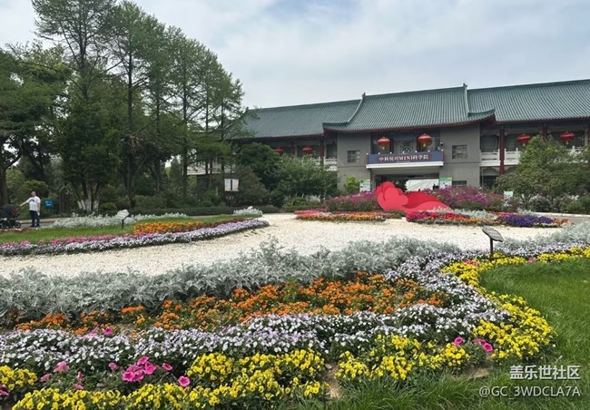 【行旅閱山河】百花爭艷