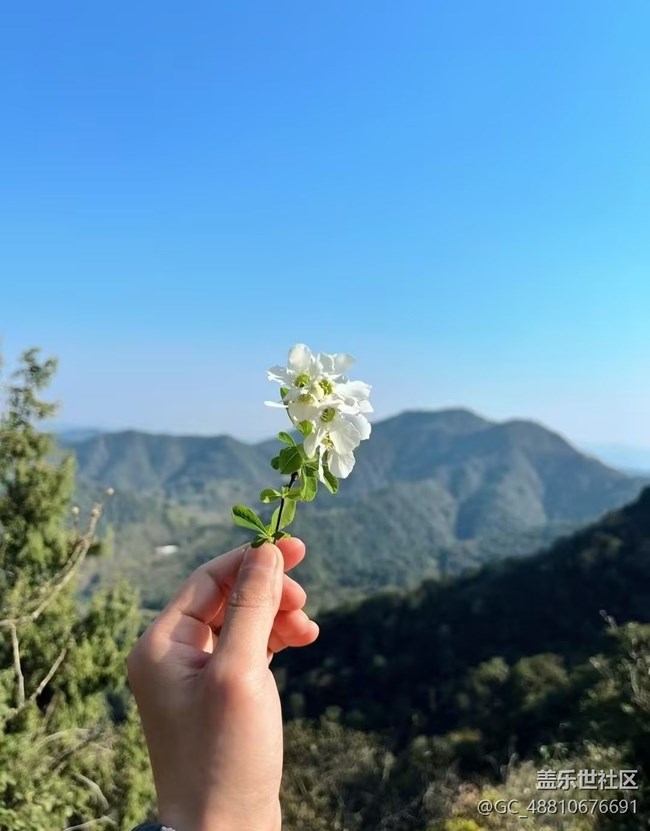 【行旅閱山河】徒步