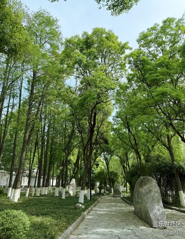 【行旅閱山河】江邊散步