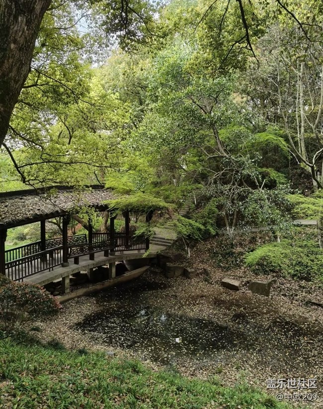 【行旅閱山河】森林公園