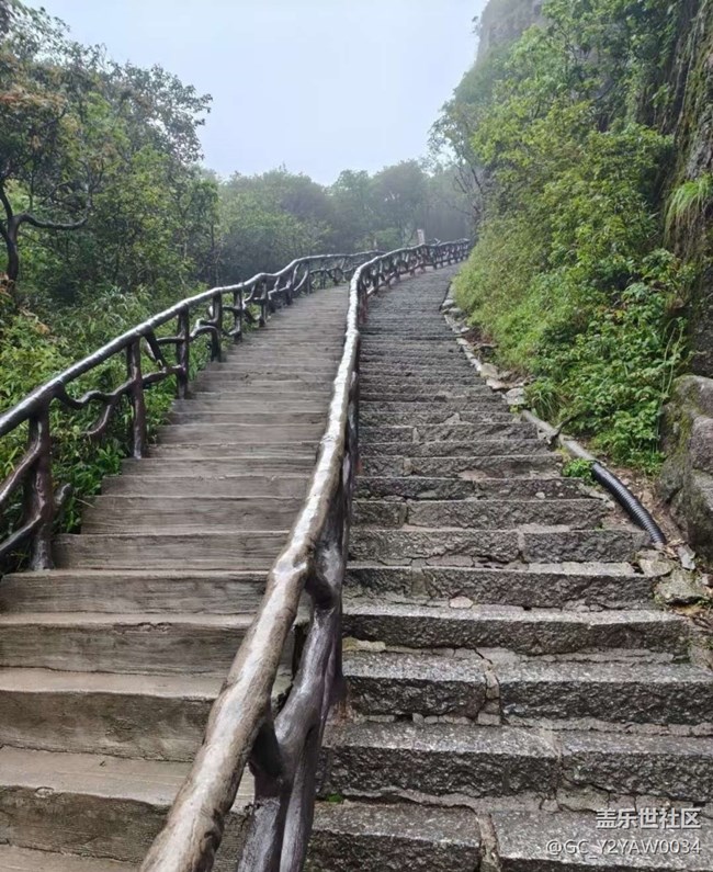 【行旅閱山河】爬山