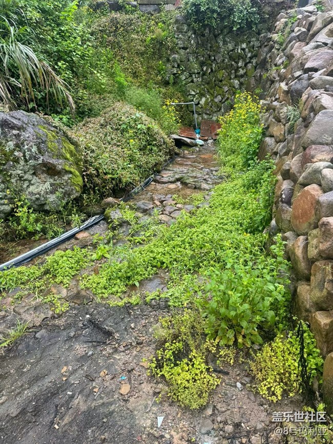 【行旅閱山河】鄉(xiāng)下