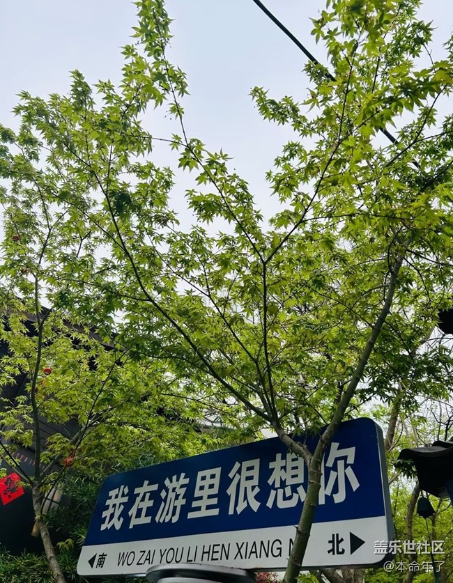 【行旅閱山河】約會四月