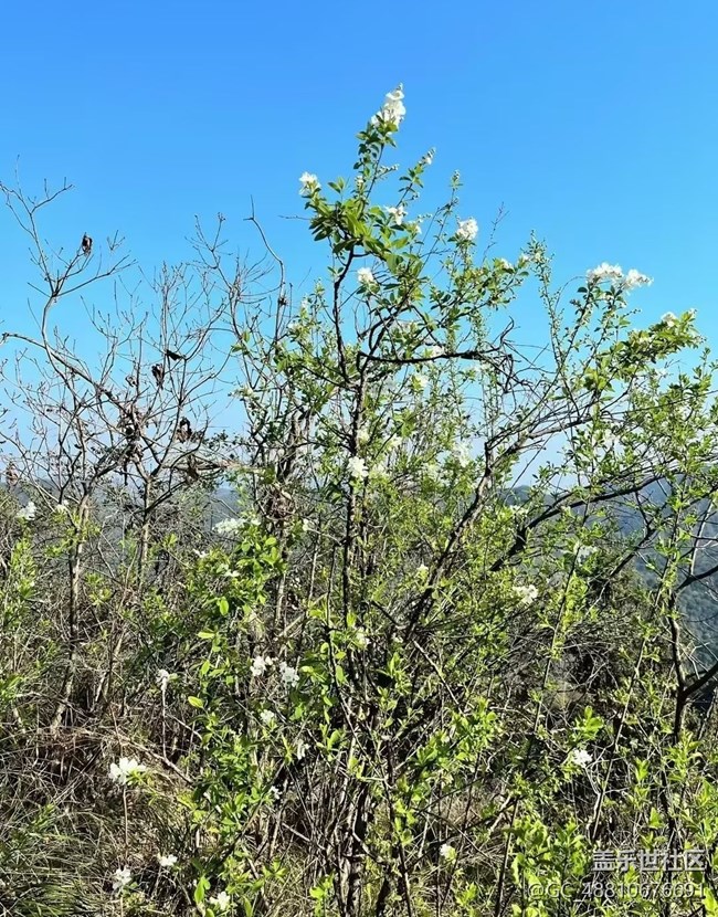 【行旅閱山河】徒步
