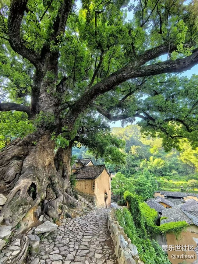 【行旅閱山河】古村