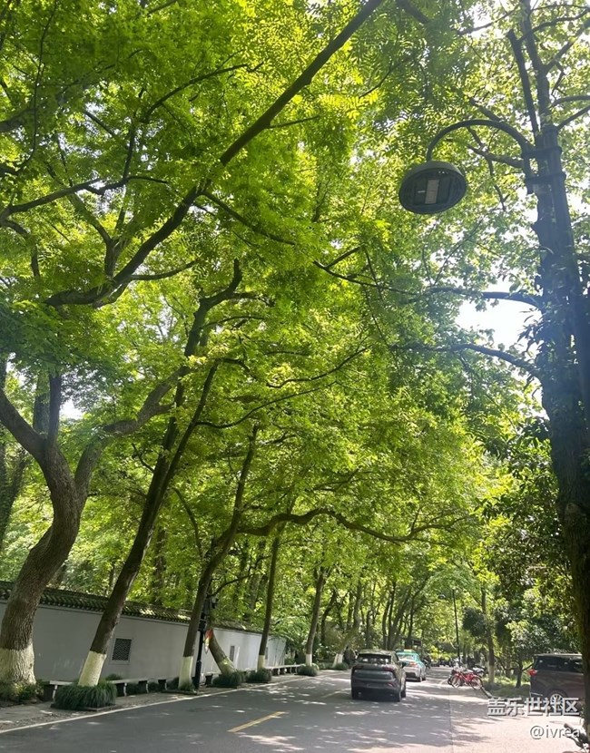 【行旅閱山河】綠色天地