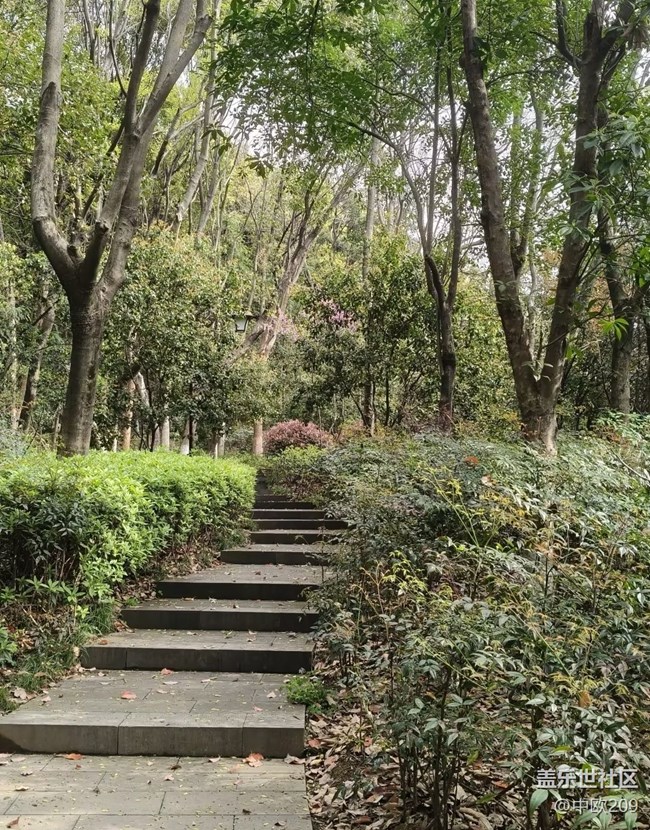 【行旅閱山河】森林公園