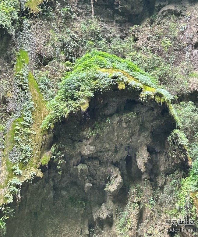 【行旅閱山河】山巒間