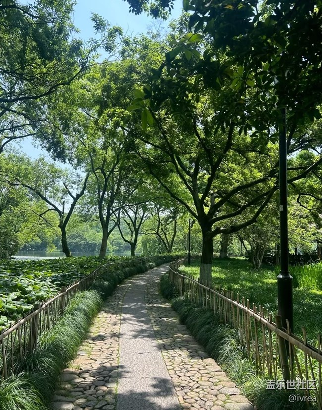 【行旅閱山河】綠色天地