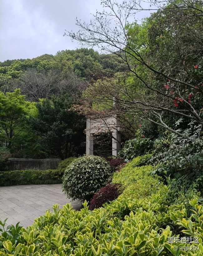 【行旅閱山河】森林公園