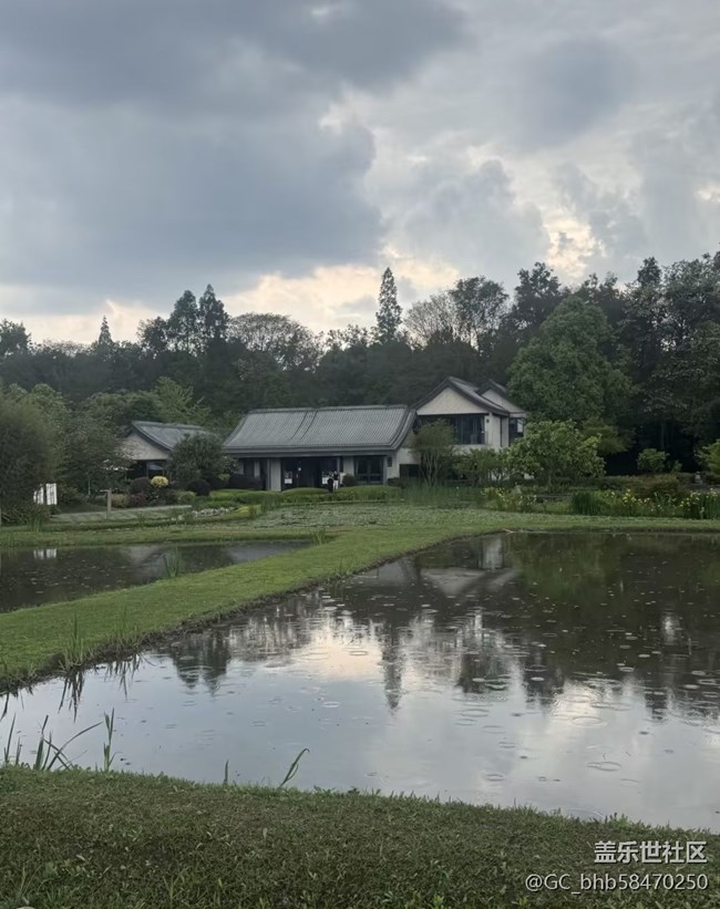 【行旅閱山河】油菜園